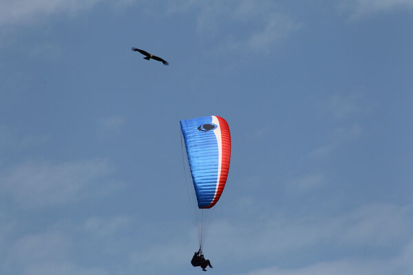 SIT-Theil-Parapente-HautesPyrenees (6)