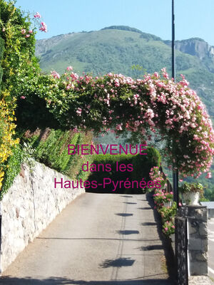 SIT-Vacances-Bigorre-appt1-Hautes-Pyrenees (10)