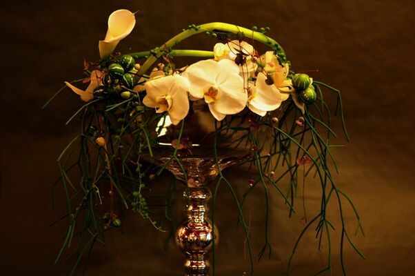 anyfleursmariage-argelesgazost-HautesPyrenees