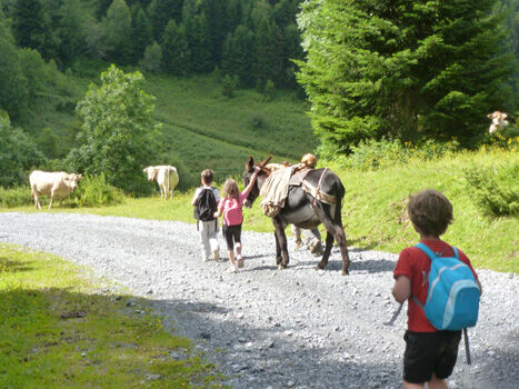 balade2-anesdazun-arrasenlavedan-HautesPyrenees