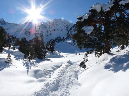 hiver1