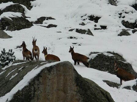 hiver3