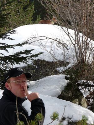hiver5
