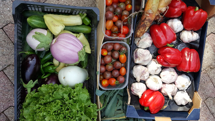 legumes-picdepan-arrensmarsous-HautesPyrenees