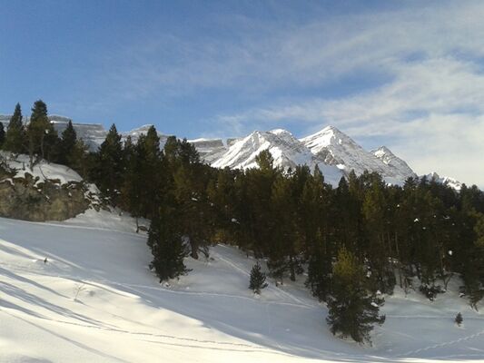 marquier8-argelesgazost-HautesPyrenees
