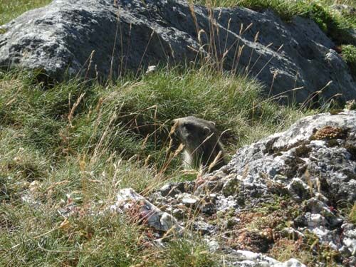 pierrebichon4-accompagnateurmontagne-HautesPyrenees