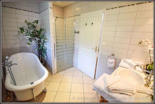 salledeau2-chester-salles-HautesPyrenees