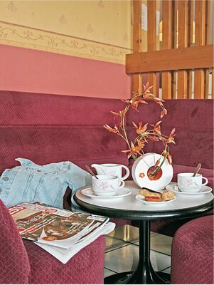 salonhotelpierred'agos-agosvidalos-HautesPyrenees-creditsremipujo.jpg