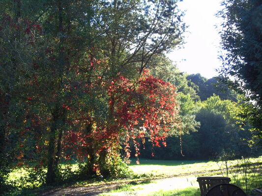 DSC00544--1-