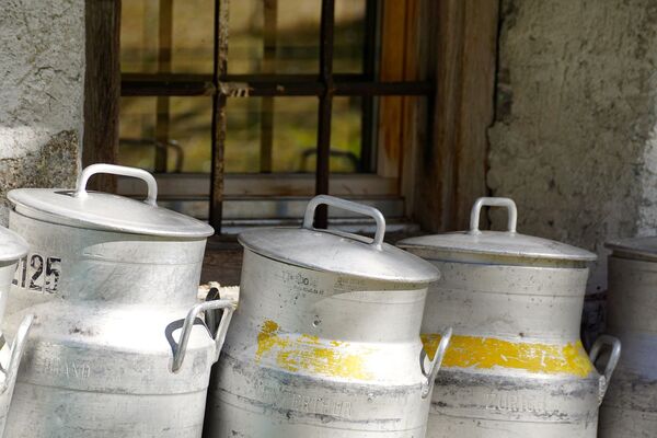 Produits laitiers Lait Yaourt