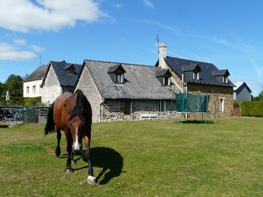 Troy on the lawn