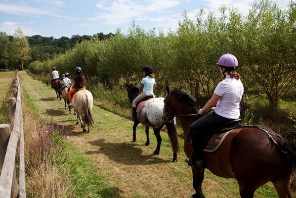centre-equestre-ambrieres-les-vallees-53-asc-3