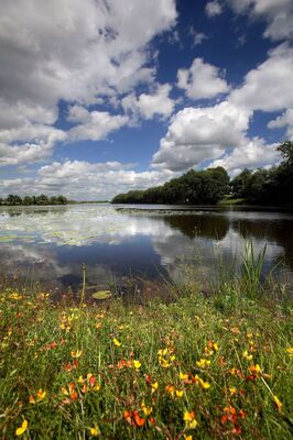 etang-neuf-juvigne-53-3