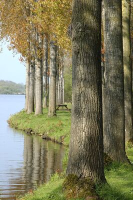 etang-neuf-juvigne-53-8