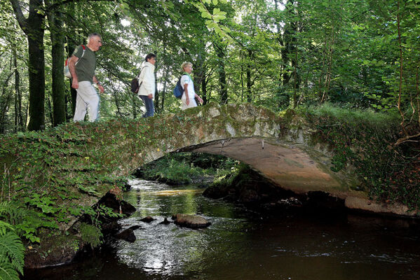 sentier-d-interpretation-arboretum-pontmain-53-iti-cp greboval (11)