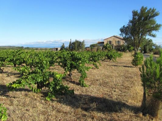DOMAINE DE L'ARBOUSIER