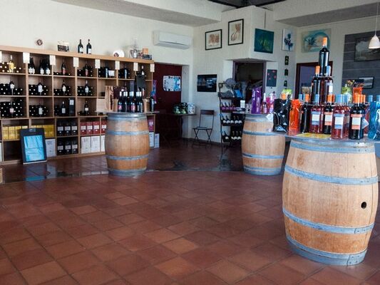 MAGASIN DES VIGNERONS DE LA PALME