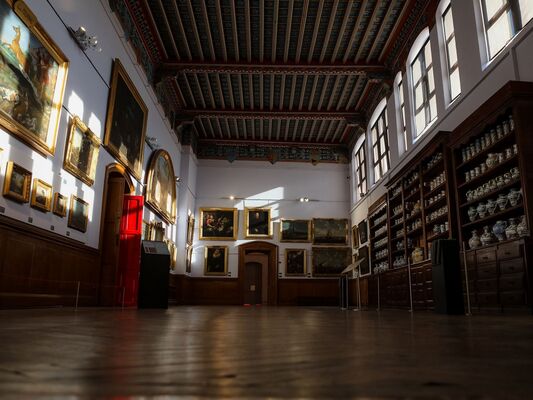 Palais Neuf et parcours d'art