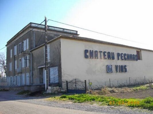 CHATEAU PECH MAO