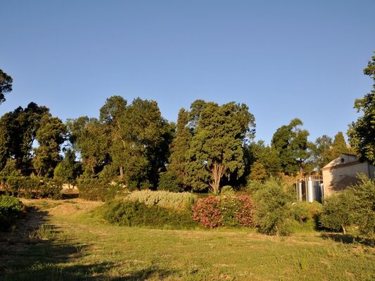 CHATEAU SALITIS