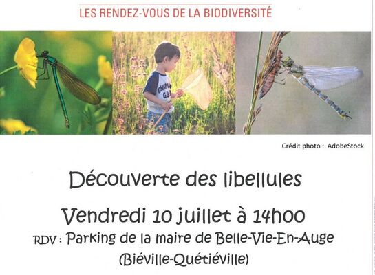 07-10--RDV nat. découverte libellules-800x600