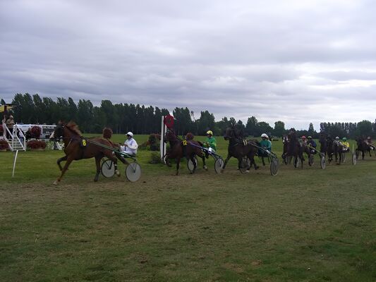 Courses hippiques