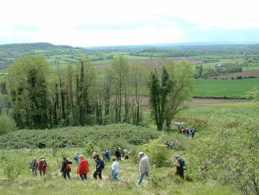 billot