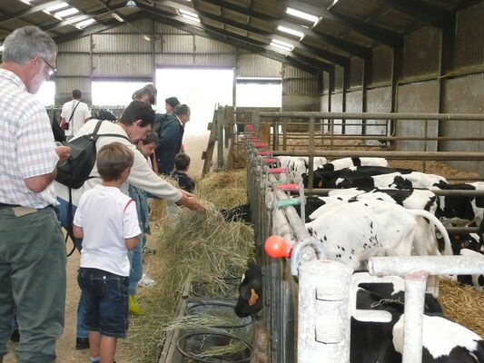 visite-d-une-exploitation-agricole--vendredi-