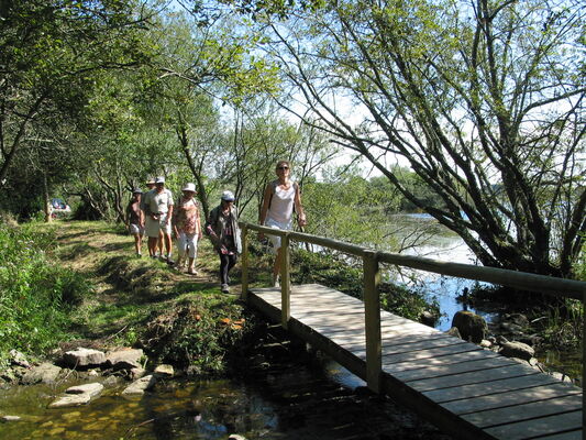 balade-guidee-de-l-etang