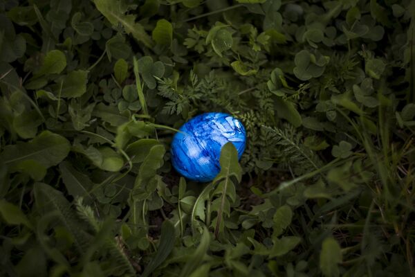 easter-eggs-photo-1535364148377-a8f686fdb7dd