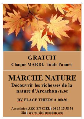 Marche-NATURE-V2-JPEG-3