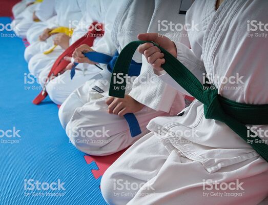 atelier-judo-2