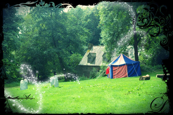 Camp du dragon gîte bonne année