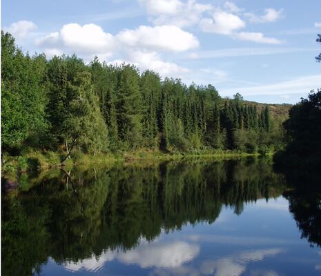 Vallon de la chambre au Loup Iffendic Brocéliande Bretagne ©office de tourisme lac de Trémelin (1)
