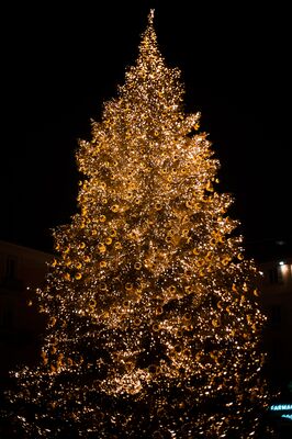 photo-of-lighted-christmas-tree-at-night-1669072