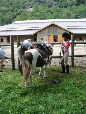 centre equestre 1