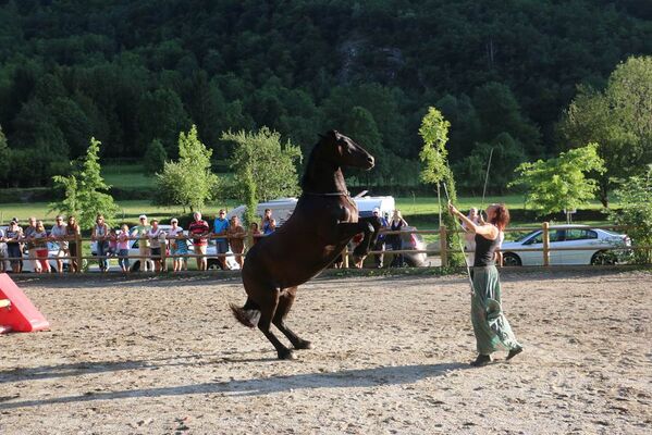 dressage à Orgeix écrin des cimes