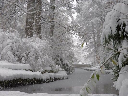 En Hiver