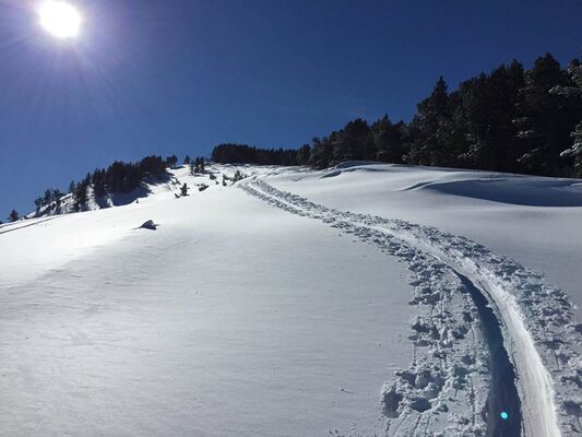 rando ski