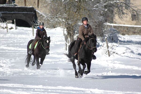 cheval et neige