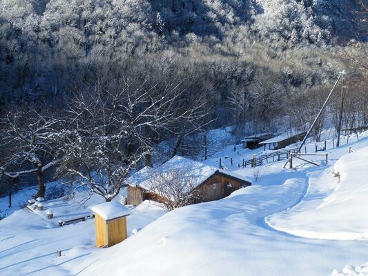 la ferme des lamas