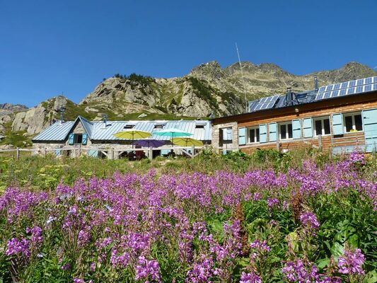 Terrasse et fleurs - Refuge d'en Beys