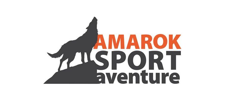 Logo Amarok
