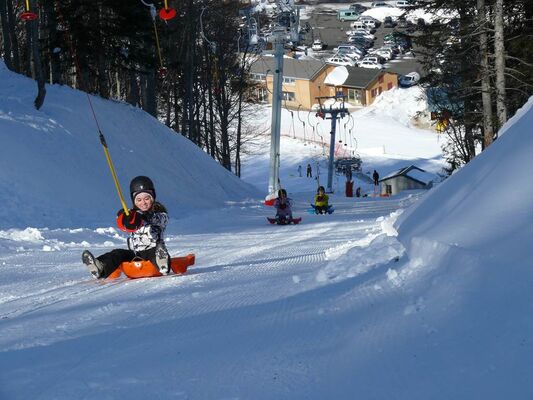 luge