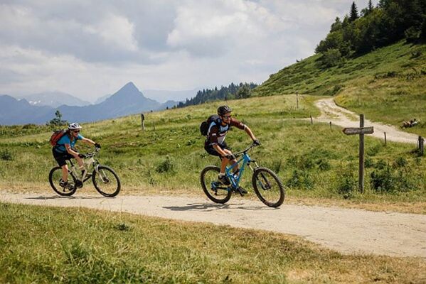 VTT