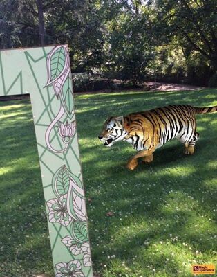 Magic Xpetience Park Montauban