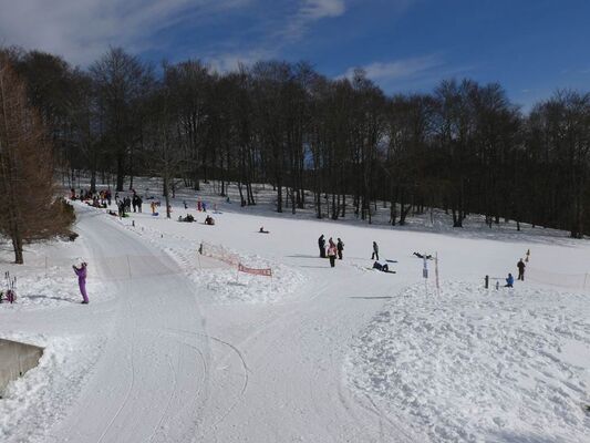 Espace Luge