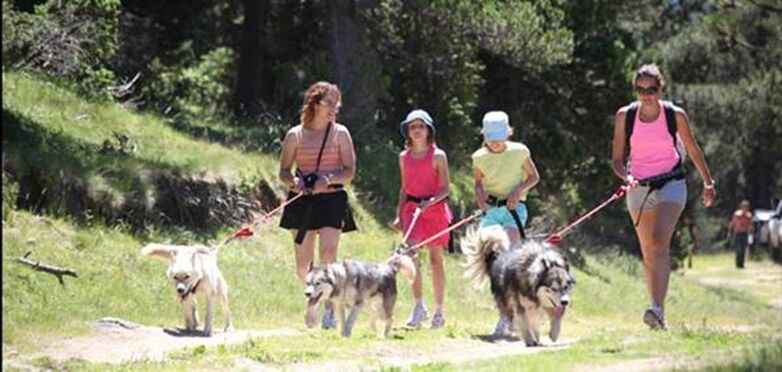 Cani-marche