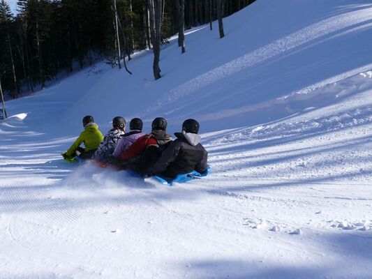 luge snake