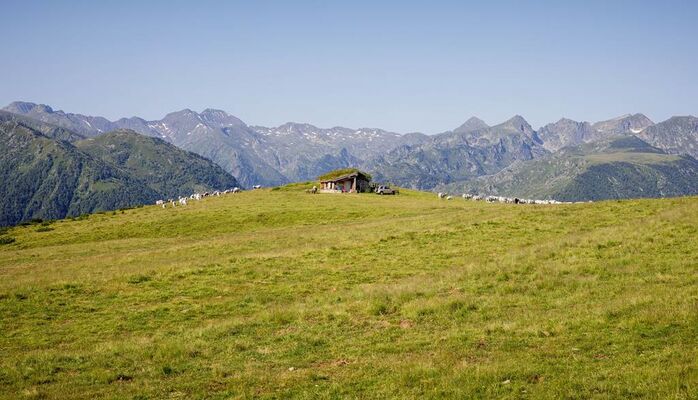 VTT Beille